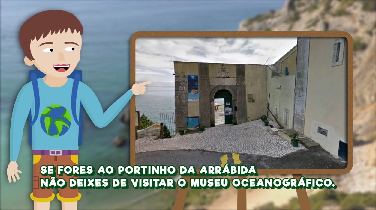 Show Overall Display